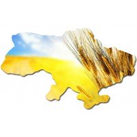 День Незалежності 2017