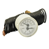 Cewal TI 42 P