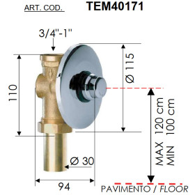 Daniel TEM40171