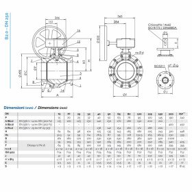 Brandoni B2.100