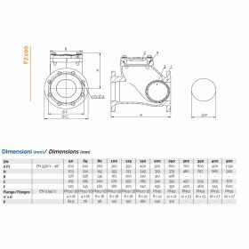 Brandoni F7.100
