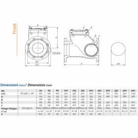 Brandoni T7.100 різьбовий обратный клапан с шариком