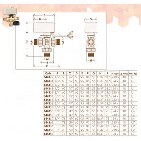 Caleffi 6443