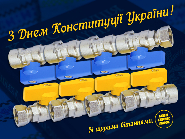28 июня 2018 - День Конституции Украины